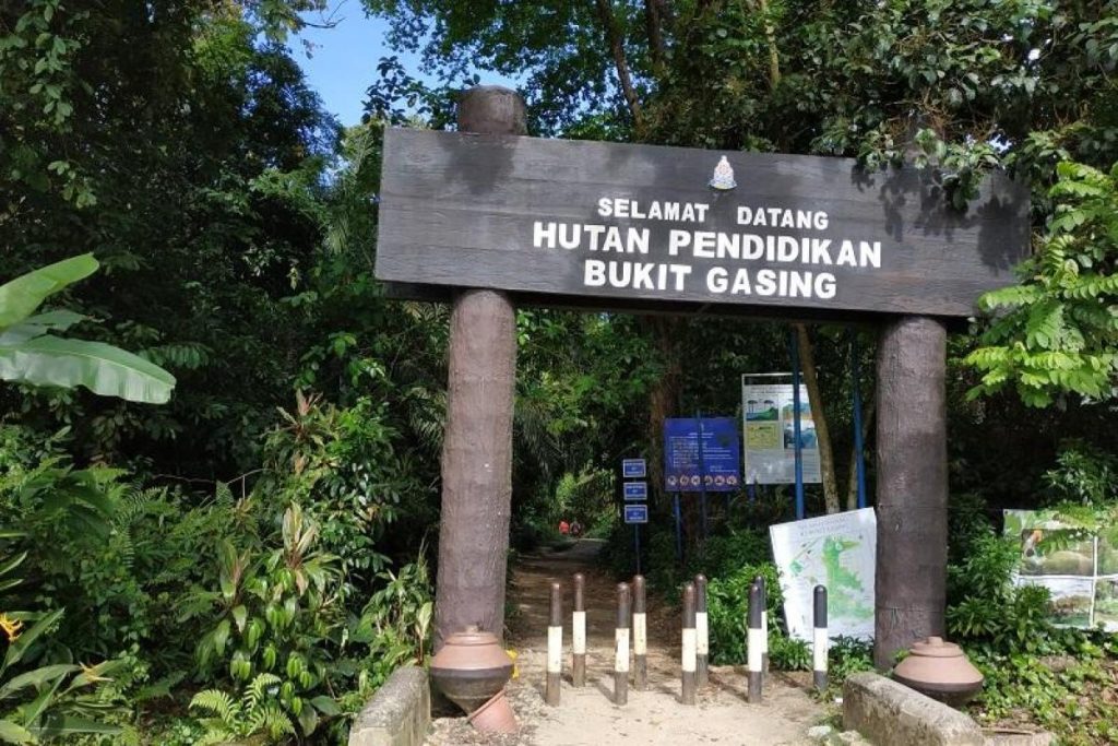 Top 10 Best Places For Jungle Trekking in Malaysia 2025 4 Hutan-Pendidikan-Bukit-Gasing