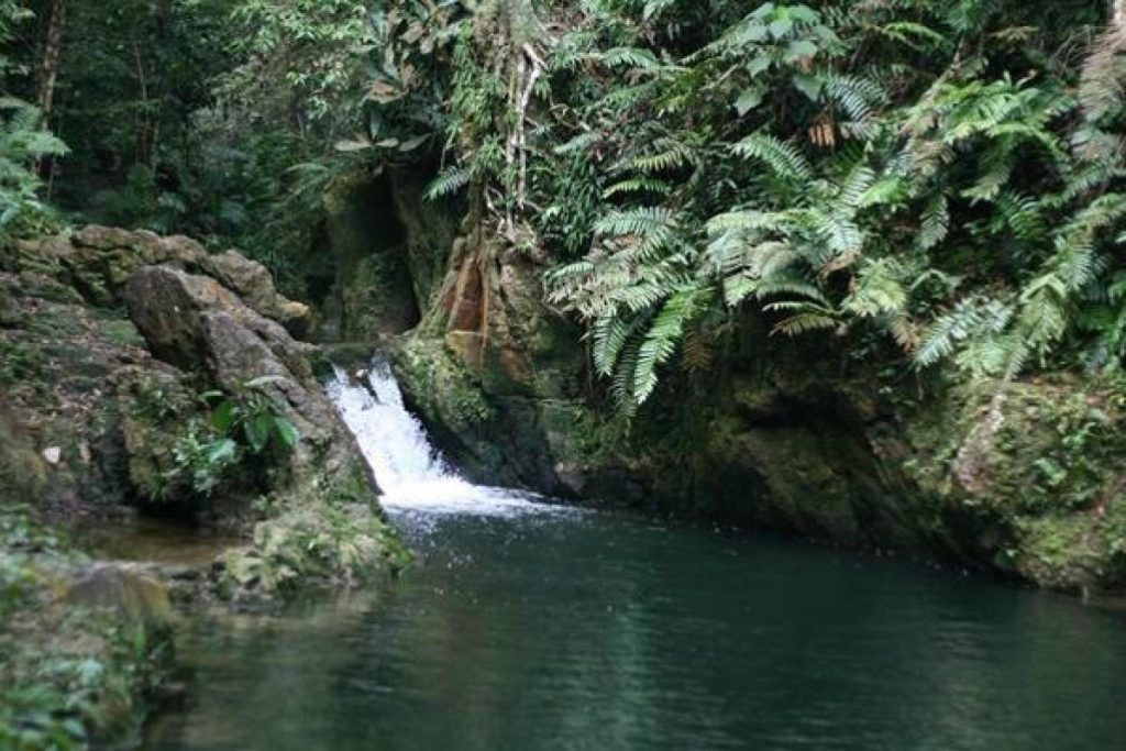 Top 10 Best Places For Jungle Trekking in Malaysia 2025 20 Hutan-Simpan-Ayer-Hitam