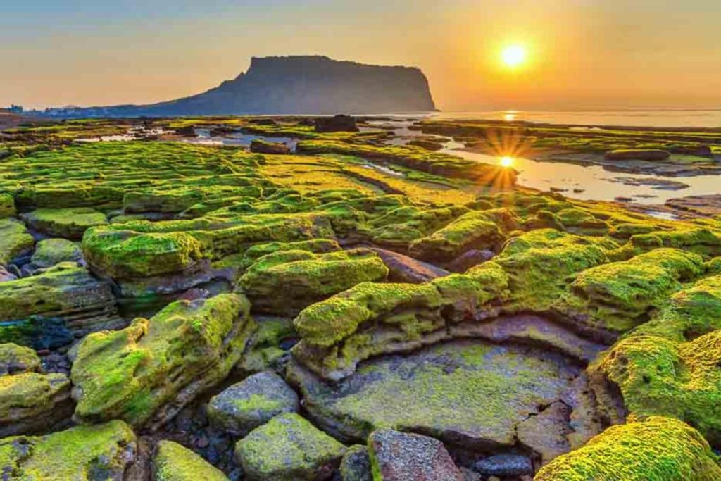 Top 10 Best Things To Do in Jeju Island 2025 1 Is-Jeju-Island-similar-to-Hawaii