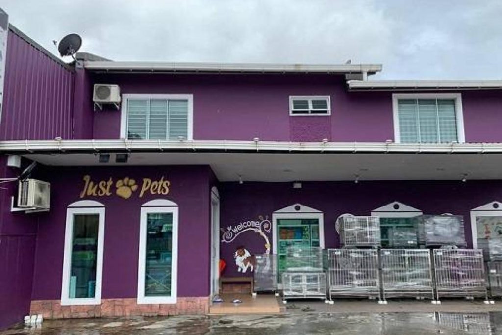 Top 10 Best Pet Shops in Kuching 2025 10 Just-Pets-@-Batu-Kawa