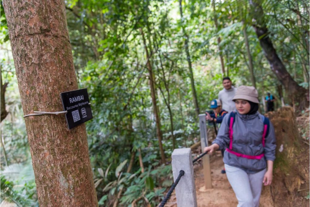 Top 10 Best Places For Hiking in Kuala Lumpur 2025 15 KL-East-Park-