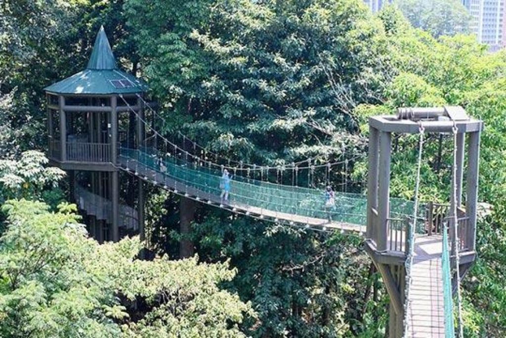 Top 10 Best Places For Jungle Trekking in Malaysia 2025 2 KL-Forest-Eco-Park
