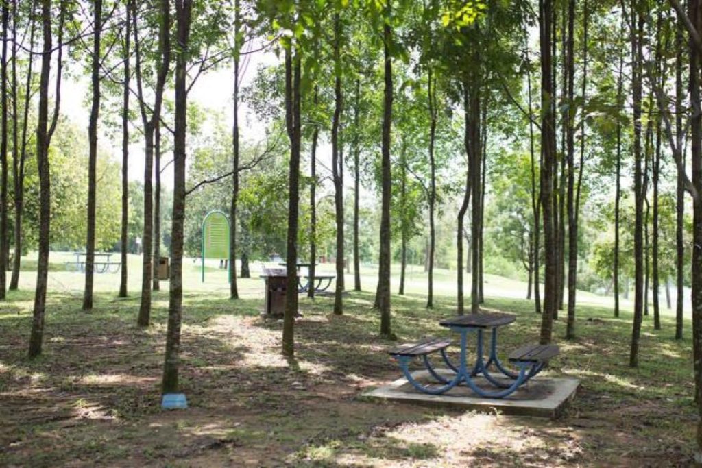 Top 10 Best Places For Picnic in Kuala Lumpur 2025 10 Kepong-Metropolitan-Park
