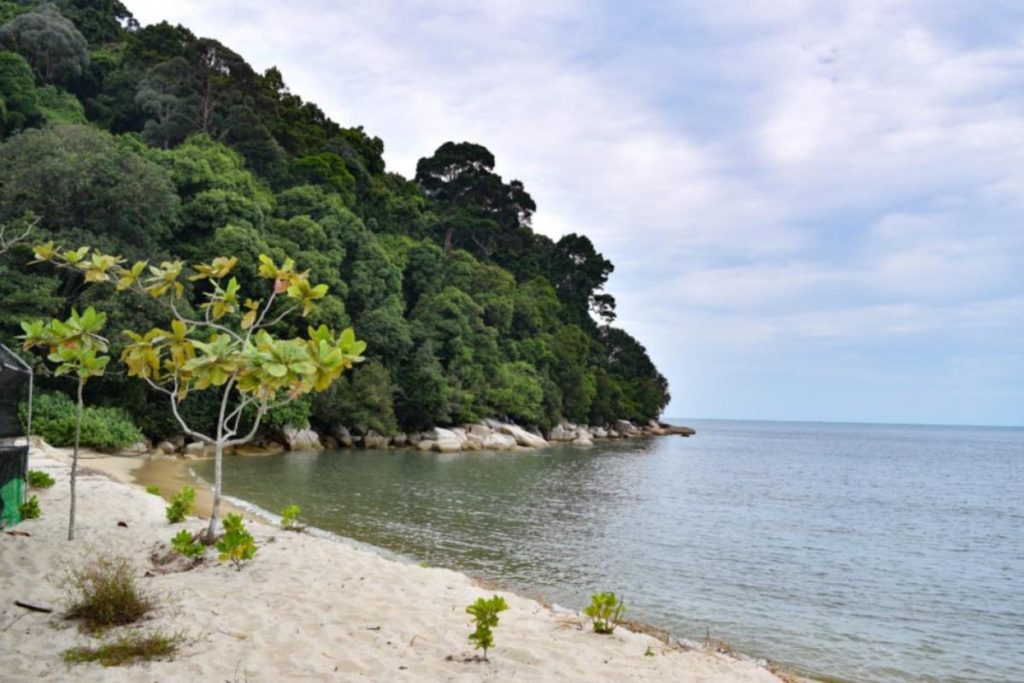 Top 10 Best Beaches in Penang 2025 12 Kerachut-Beach-