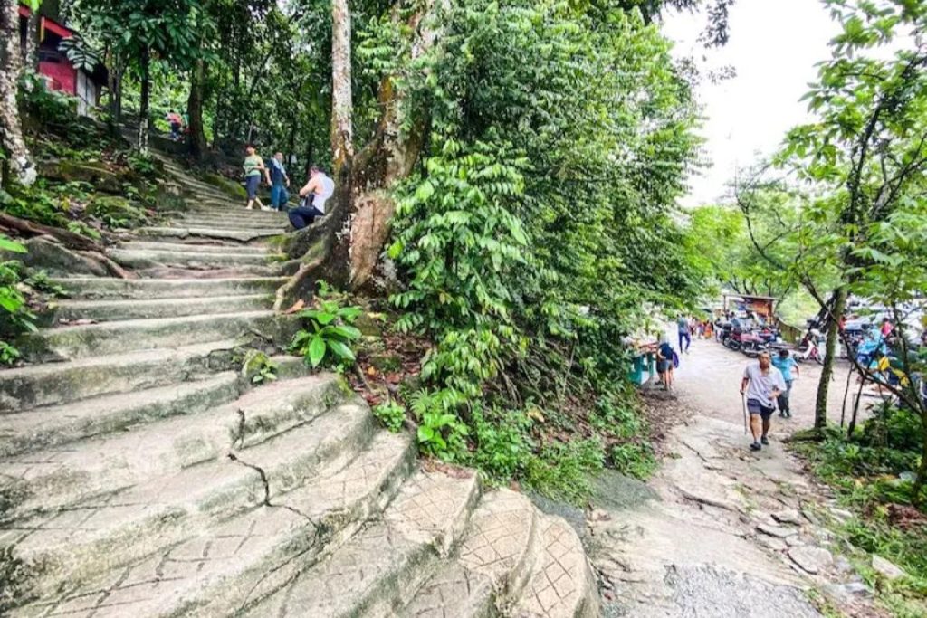 Top 10 Best Places For Jungle Trekking in Malaysia 2025 10 Ketumbar-Hill-