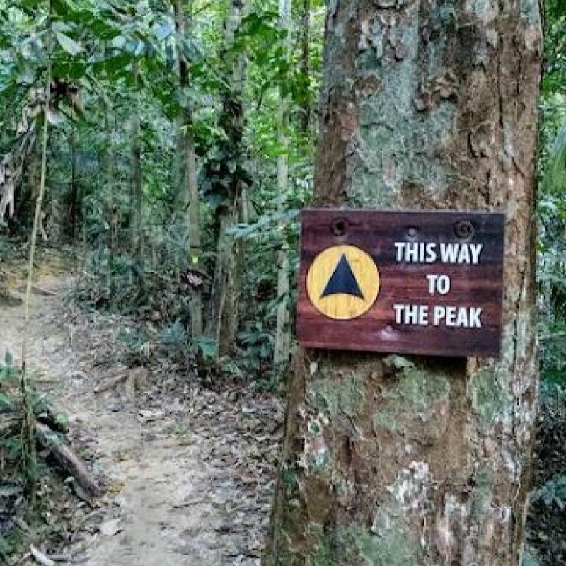 Top 10 Best Places For Jungle Trekking in Malaysia 2025 7 Kota-Damansara-Community-Forest-Reserve--