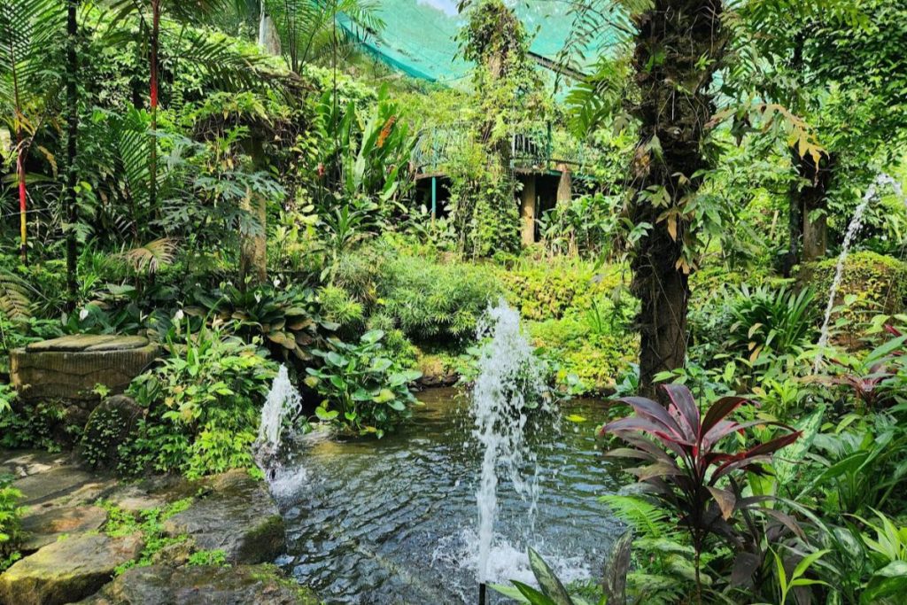 Top 10 Best Parks in KL 2025 16 Kuala-Lumpur-Butterfly-Park-
