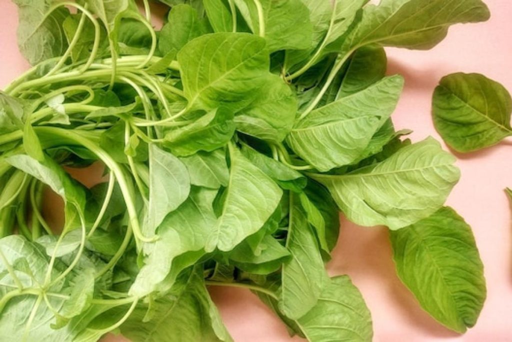 Top 15 Best Foods for Gastritis in Malaysia 2025 9 Leafy-Greens