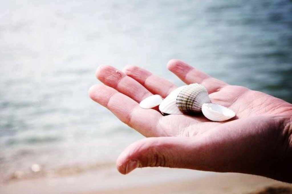 10 Aktiviti Menarik di Pantai Malaysia 2025 14 Looking-For-Seashells