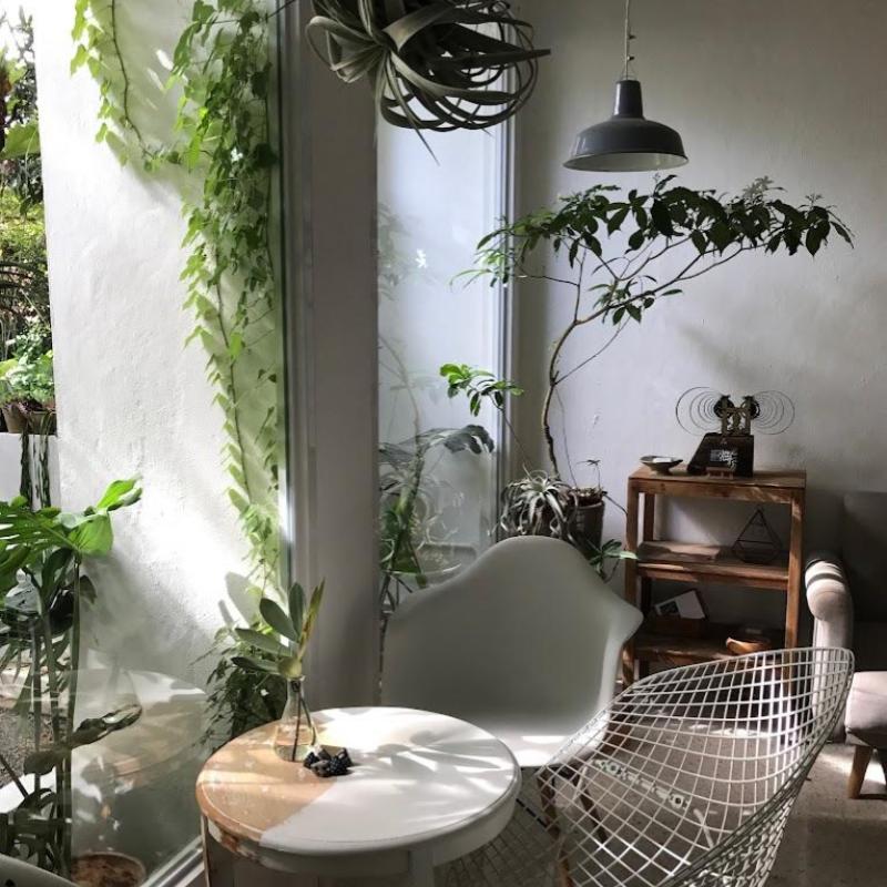 Top 20 Best Instagrammable Cafes in Penang 2025 35 Lunabarcoffee-