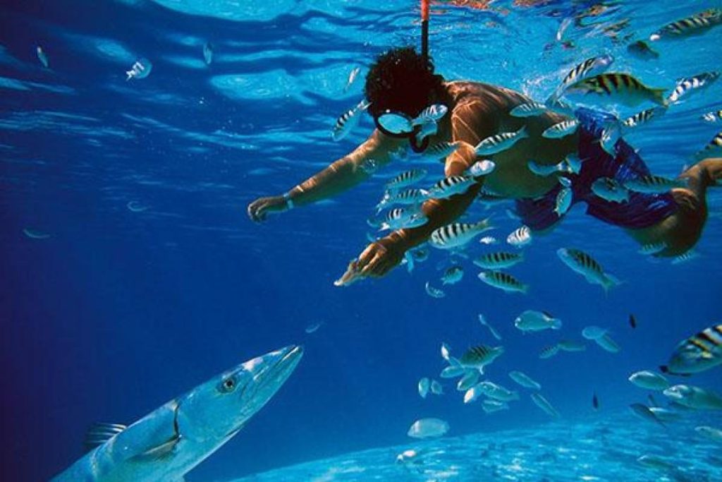 Top 10 Best Things To Do in Kapas Island 2025 3 Make-Friends-With-Sea-Life-At-Kapas-Island