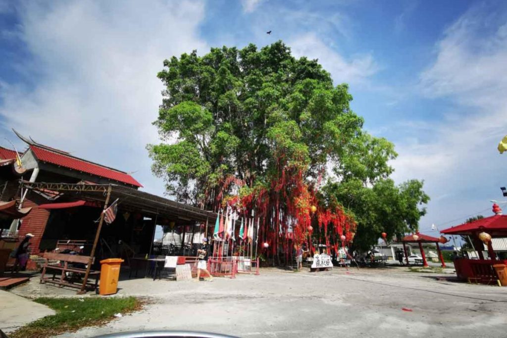 Top 10 Best Things To Do in Sekinchan Beach 2025 7 Make-a-Wish-At-the-Wishing-Tree