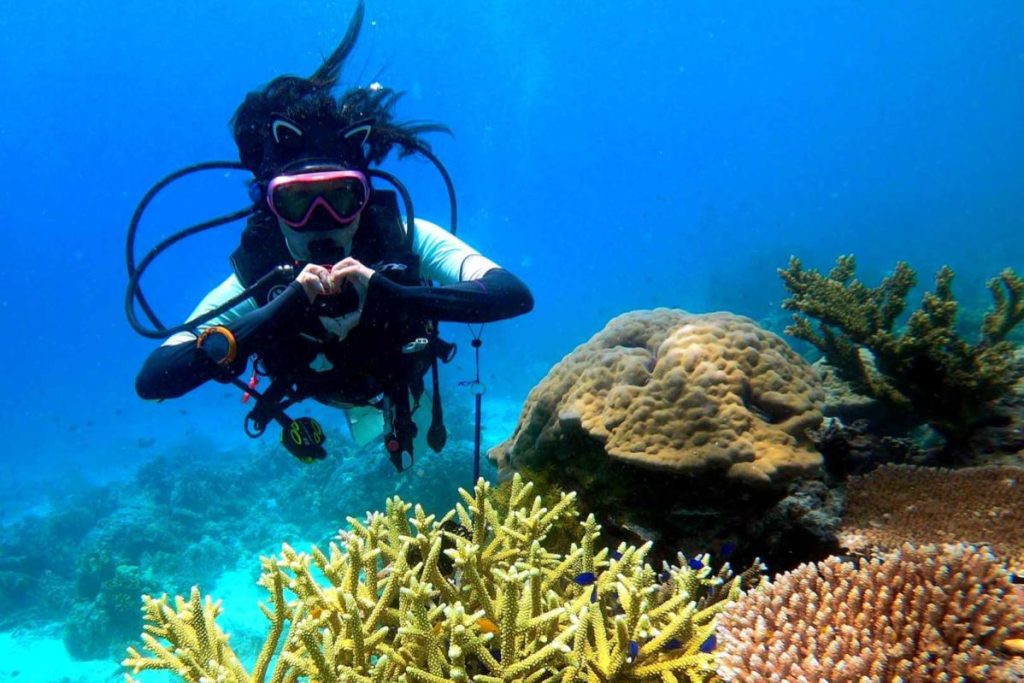 Top 10 Best Diving Spots in Malaysia 2025 19 Mataking-Island-