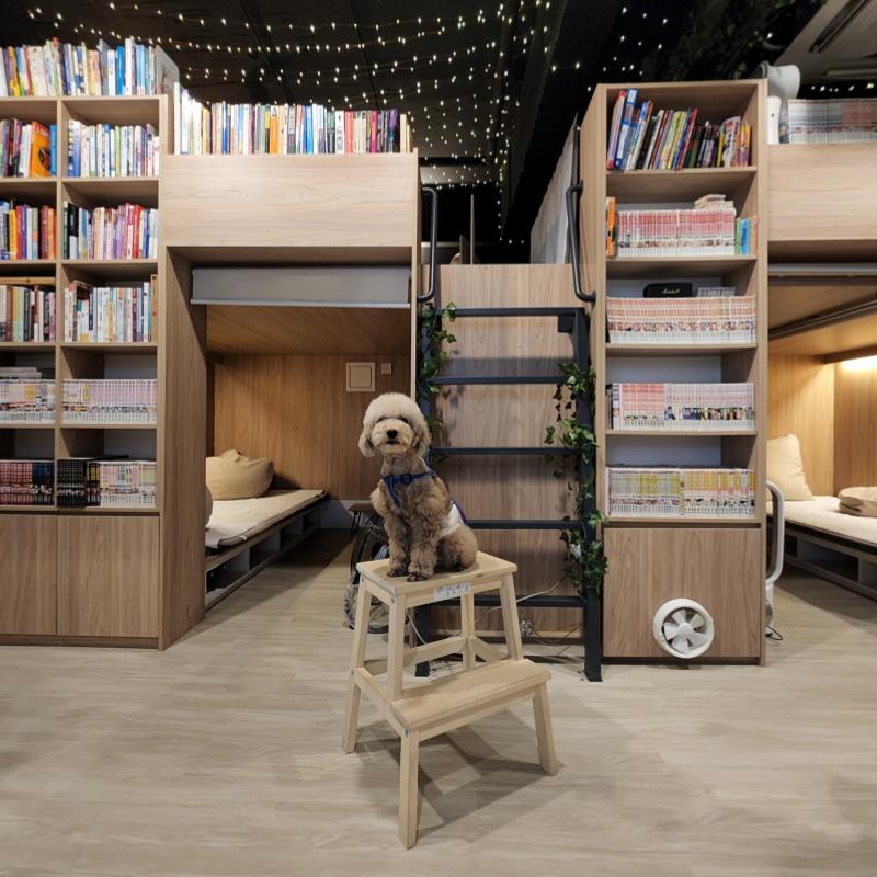 Top 12 Best Cool Library Cafes in KL & Selangor 2025 24 MeTime-Book-Cafe-