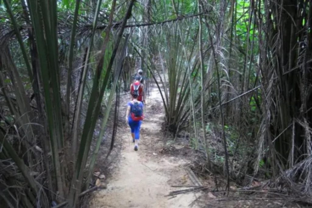 10 Tempat Terbaik Untuk Mendaki di Negeri Sembilan 2025 3 Melati-Hill-
