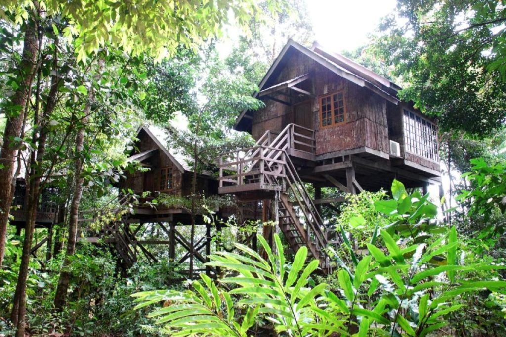 Top 10 Best Hotels with Pool in Kuching 2025 16 Permai-Rainforest-Resort