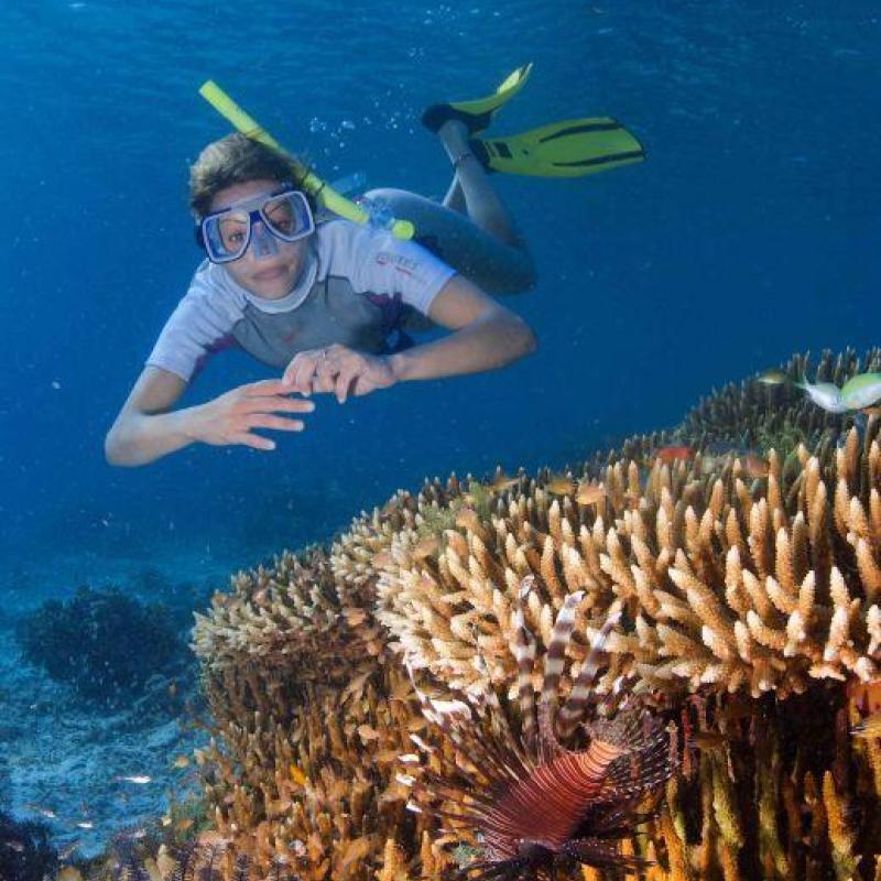 Top 10 Best Things To Do in Mataking Island 2025 4 Playing-In-The-Deep-Ocean-