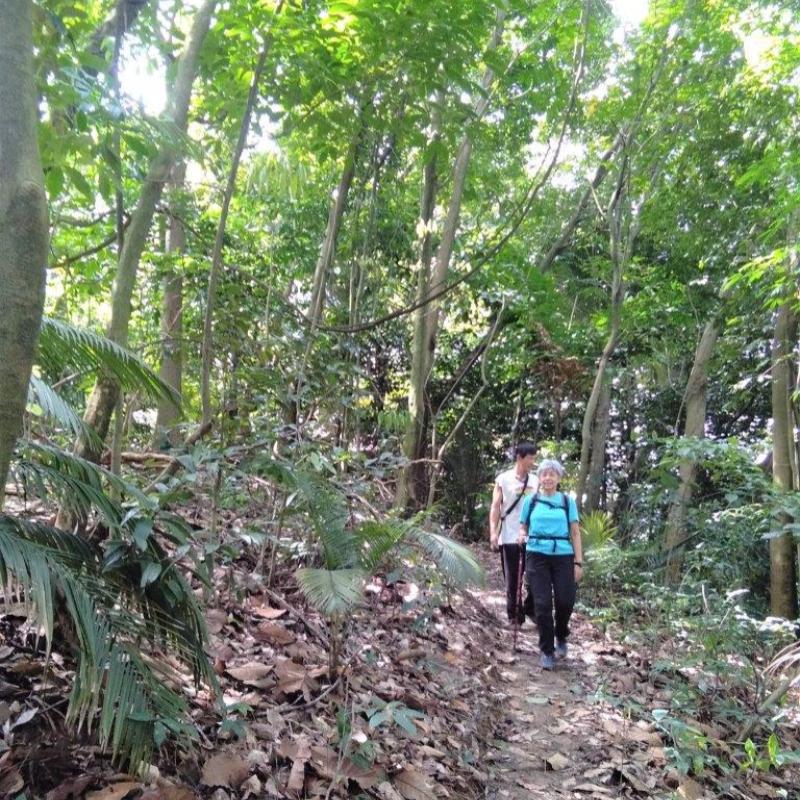 Top 10 Best Places For Hiking in Kuala Lumpur 2025 19 Pulai-Trail-