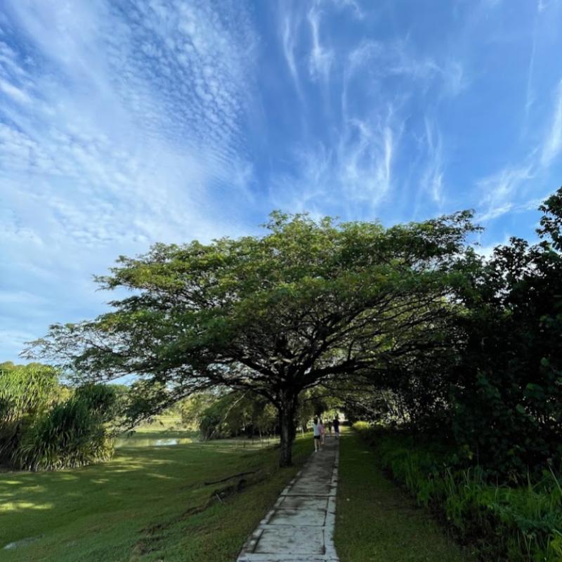 10 Taman Terbaik di Shah Alam 2025 8 Setia-Alam-Central-Park