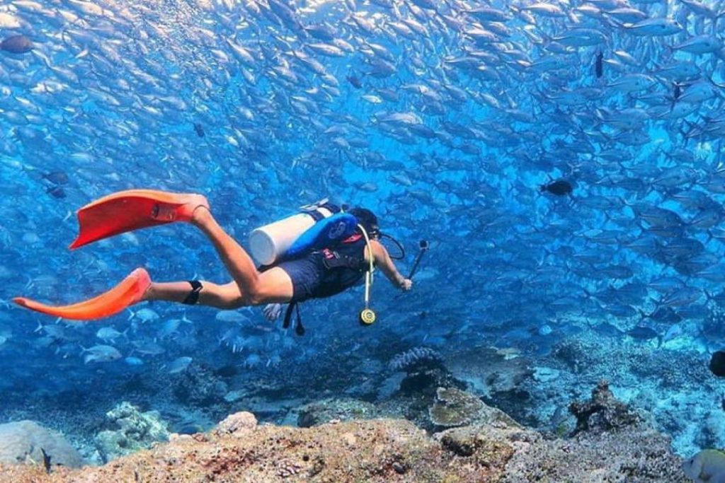 Top 10 Best Diving Spots in Malaysia 2025 21 Sipadan-Island-