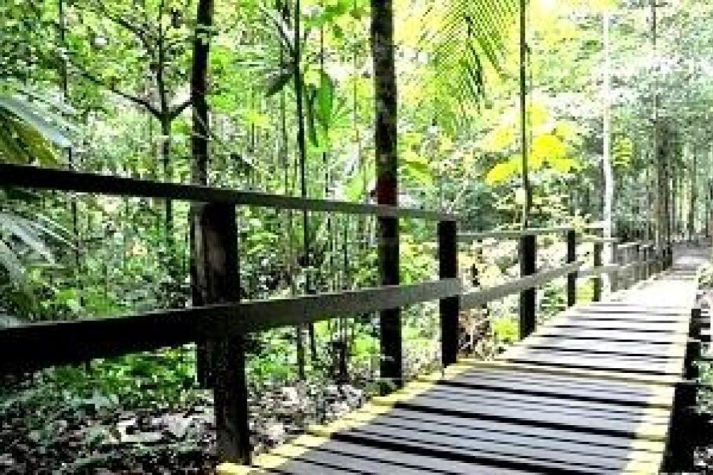 Top 10 Best Things To Do in Besar Island 2025 16 Snap-Breathtaking-Photos-Of-The-Hilltop-View-