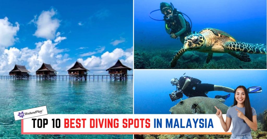 Top 10 Best Diving Spots in Malaysia 2024