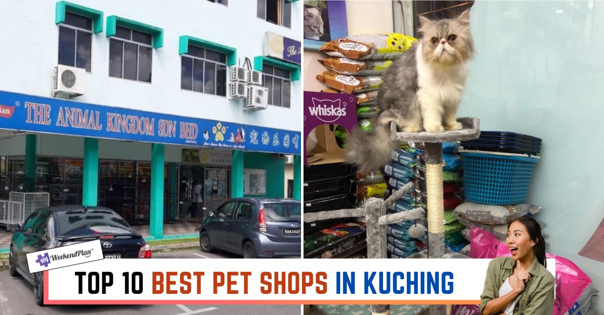 TOP--BEST-PET-SHOPS-IN-KUCHING