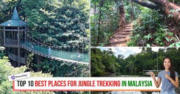 TOP--BEST-PLACES-FOR-JUNGLE-TREKKING-IN-MALAYSIA