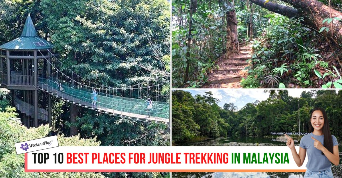 TOP--BEST-PLACES-FOR-JUNGLE-TREKKING-IN-MALAYSIA