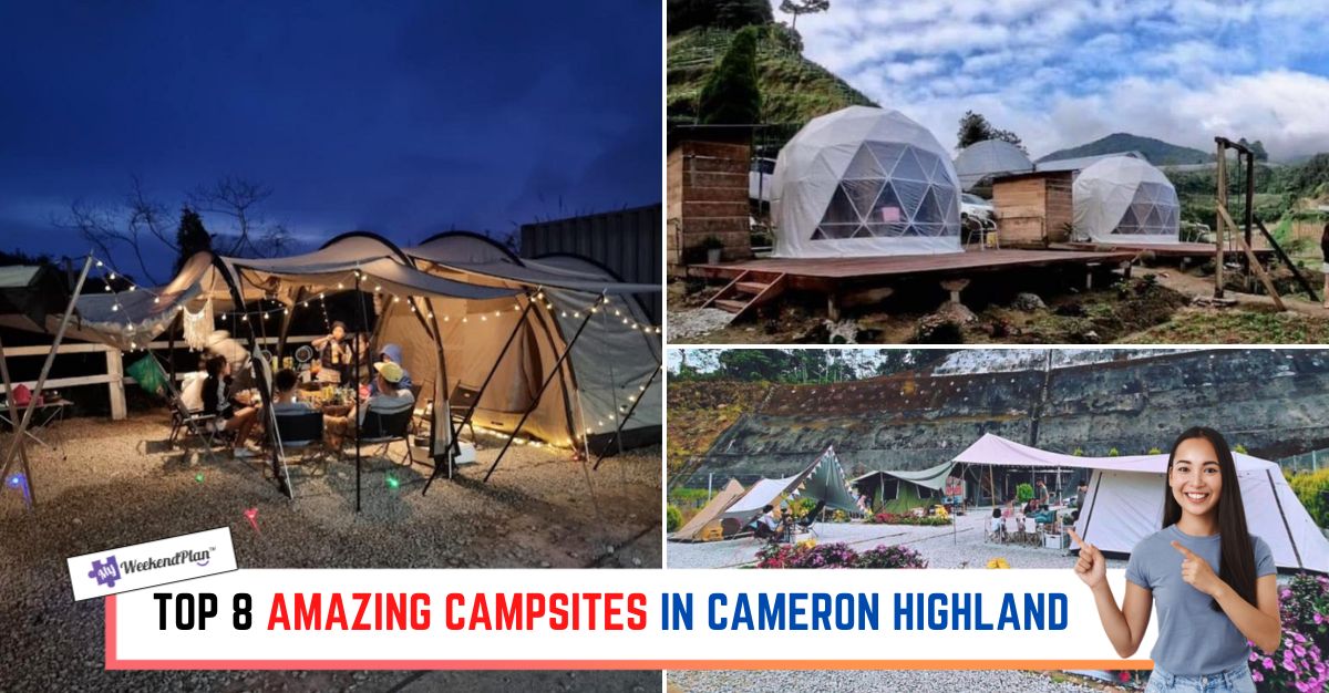 TOP--AMAZING-CAMPSITES-IN-CAMERON-HIGHLAND