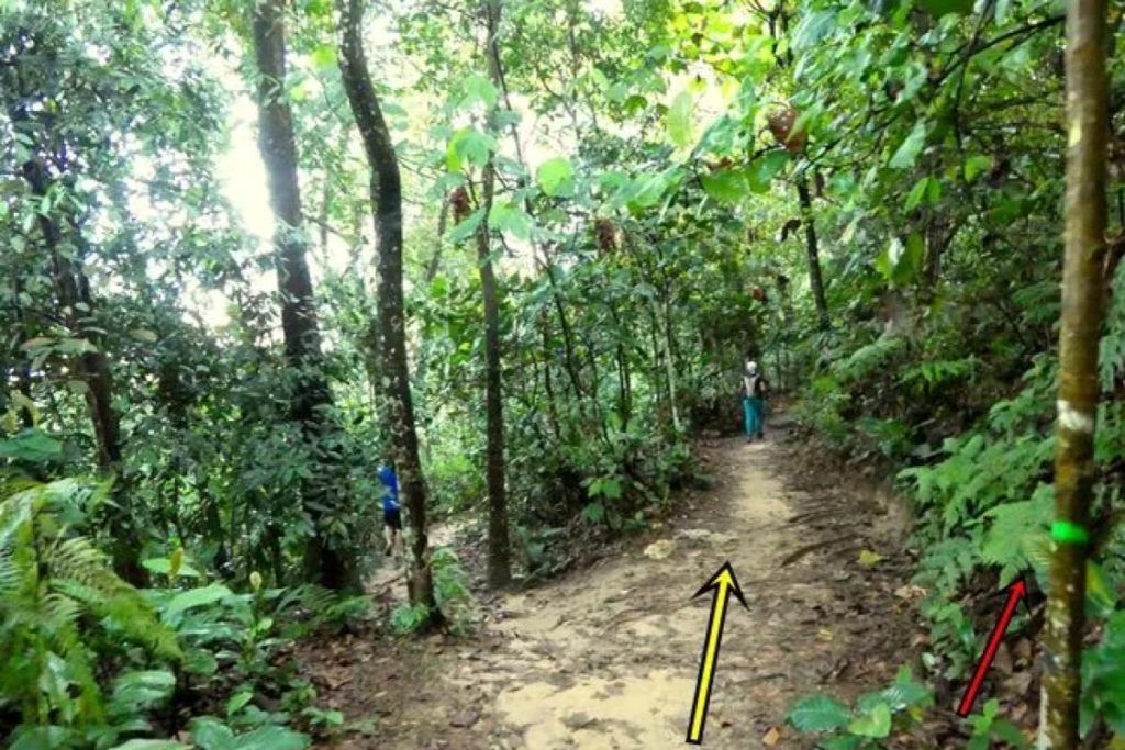 Top 10 Best Places For Hiking in Kuala Lumpur 2025 17 TTDI-Park-Extended-