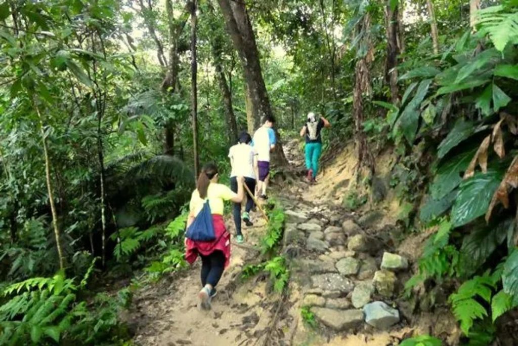 Top 10 Best Places For Hiking in Kuala Lumpur 2025 16 TTDI-Park-Extended