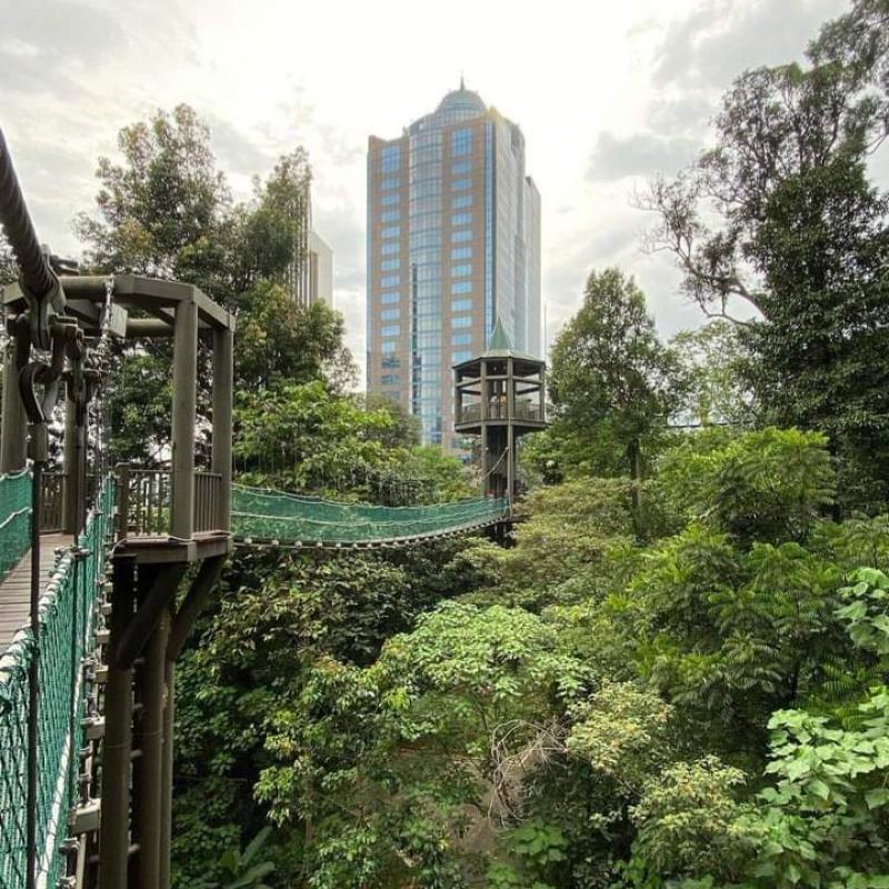 Top 10 Best Parks in KL 2025 9 Taman-Eko-Rimba-Kuala-Lumpur-Hutan-Simpan-Bukit-Nanas-