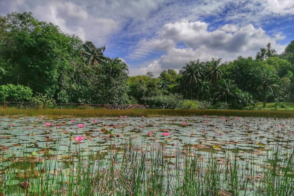 10 Taman Terbaik di Shah Alam 2025 12 Taman-Lembah-Bukit-SUK-Shah-Alam-