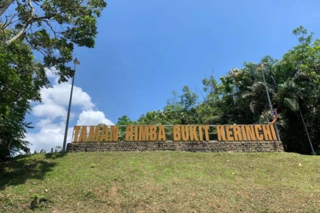 Top 10 Best Places For Hiking in Kuala Lumpur 2025 6 Taman-Rimba-Bukit-Kerinchi