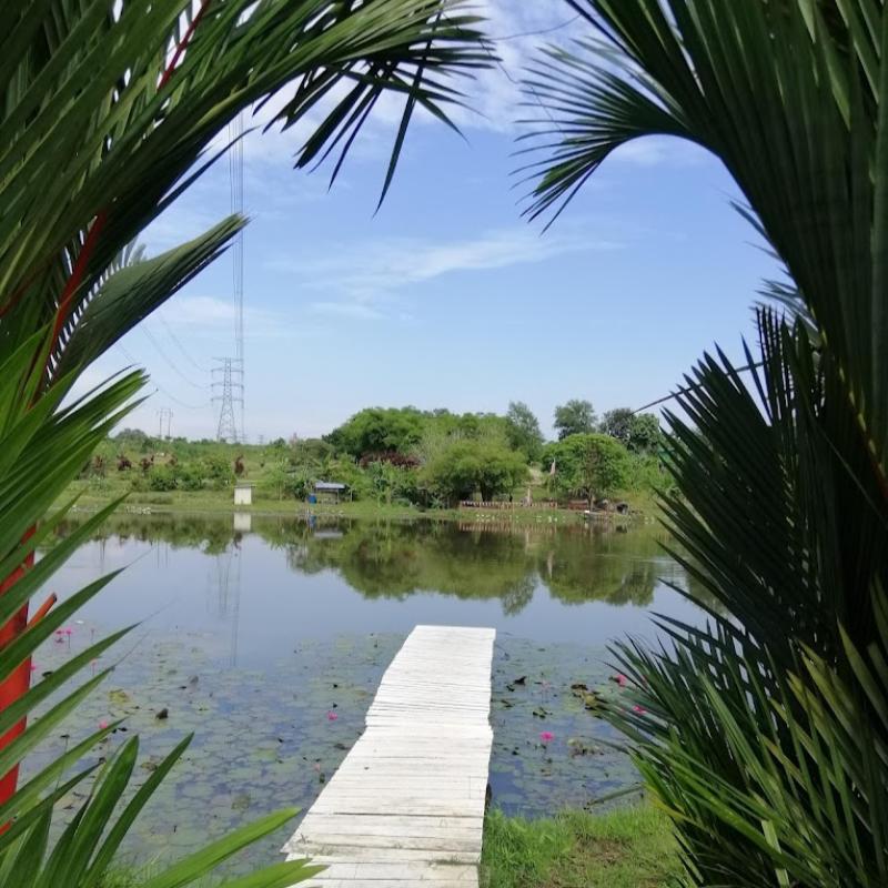 10 Taman Terbaik di Shah Alam 2025 20 Taman-Wetland-Shah-Alam