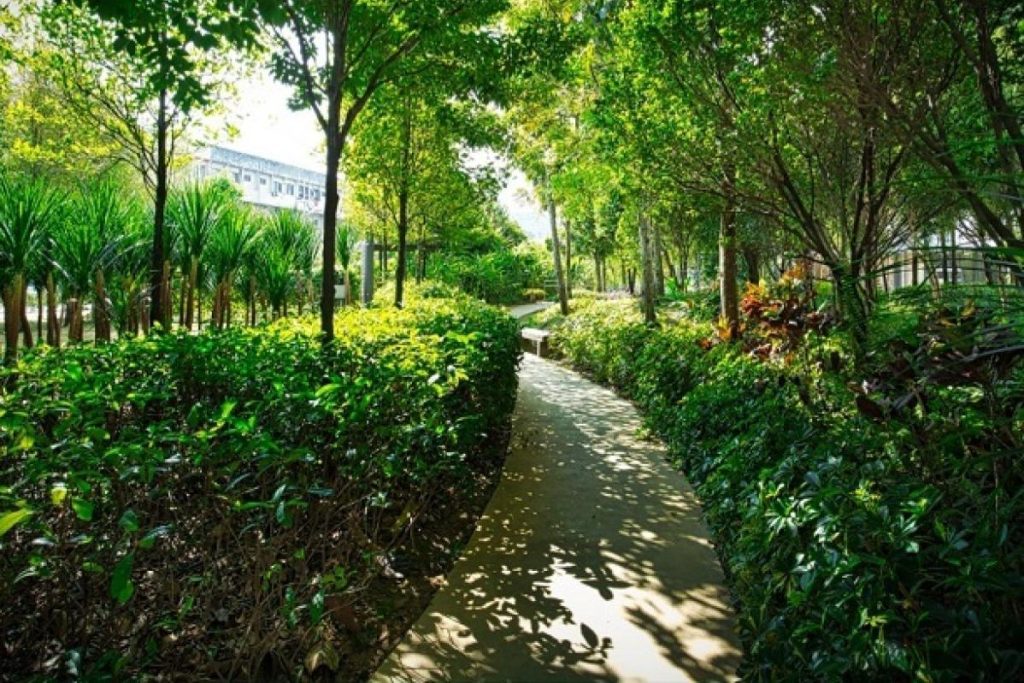 Top 10 Best Parks in PJ 2025 21 The-Chirp-Park-Starling-Ground-Level-Park-