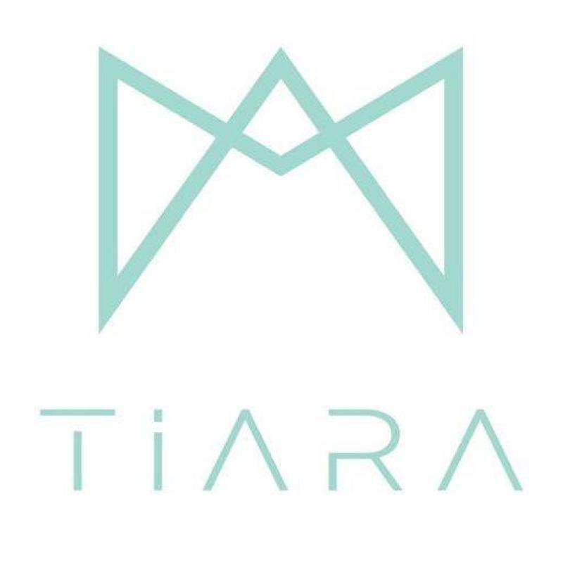 Top 10 Best Marketing and Advertising Consultant in KL 2025 20 Tiara-Digital-Advertising