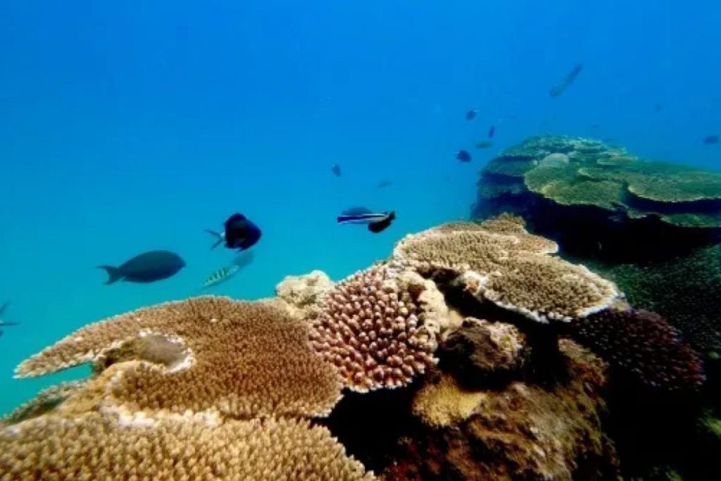 Top 10 Best Beaches in Japan 2025 12 Tomori-Beach-