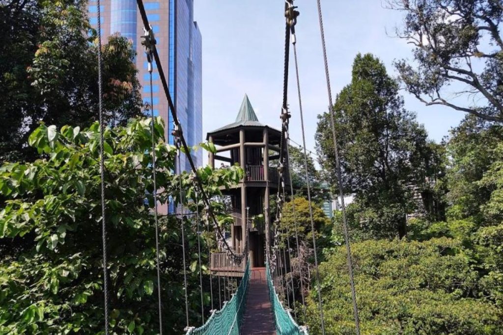 Top 10 Best Outdoor Activities in Kuala Lumpur 2025 7 Walking-At-KL-Forest-Eco-Parks-Canopy-Walk-
