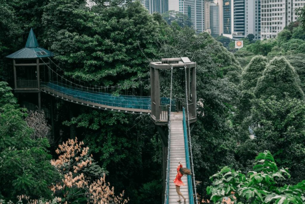 Top 10 Best Outdoor Activities in Kuala Lumpur 2025 6 Walking-At-KL-Forest-Eco-Parks-Canopy-Walk