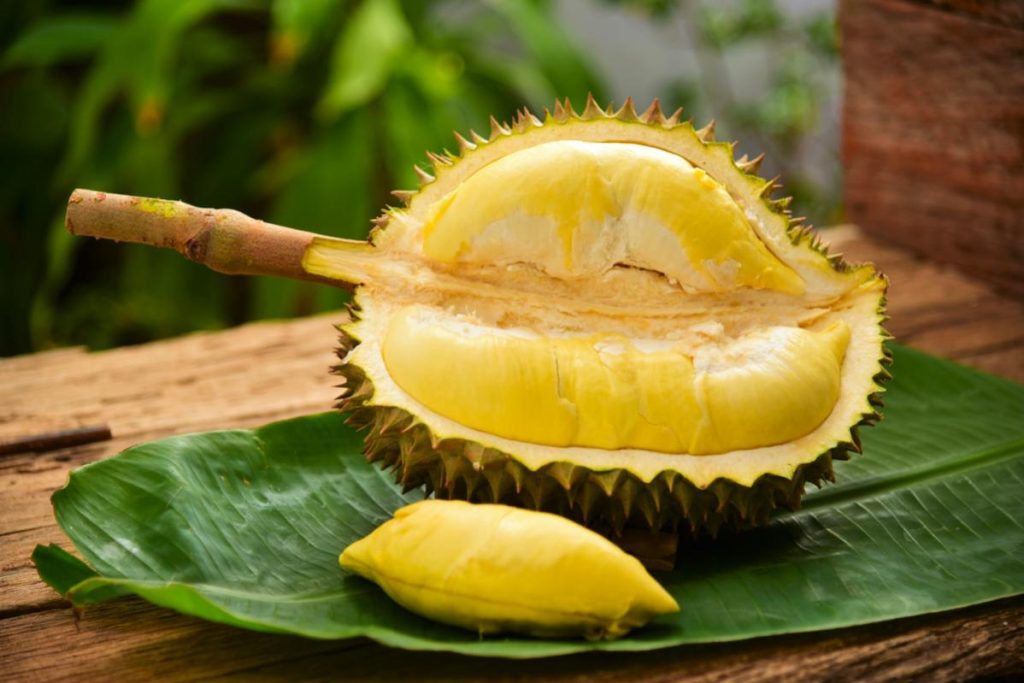 Top 10 Best Green Fruits in Malaysia 2025 2 durian-