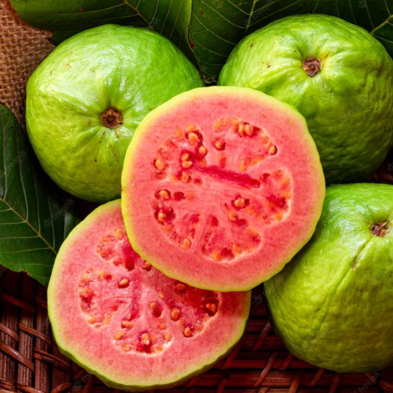 Top 10 Best Green Fruits in Malaysia 2025 5 guava