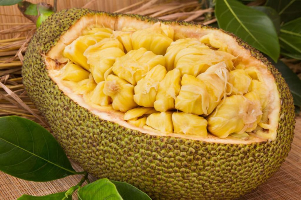 Top 10 Best Green Fruits in Malaysia 2025 3 jackfruit