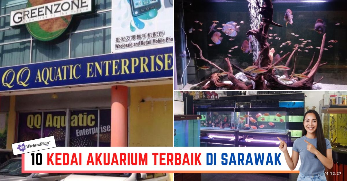 -KEDAI-AKUARIUM-TERBAIK-DI-SARAWAK