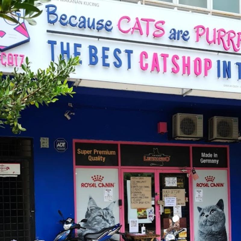 7 Kedai Haiwan Peliharaan Terbaik di Setia Alam 2025 6 Amycatz-Setia-Alam-