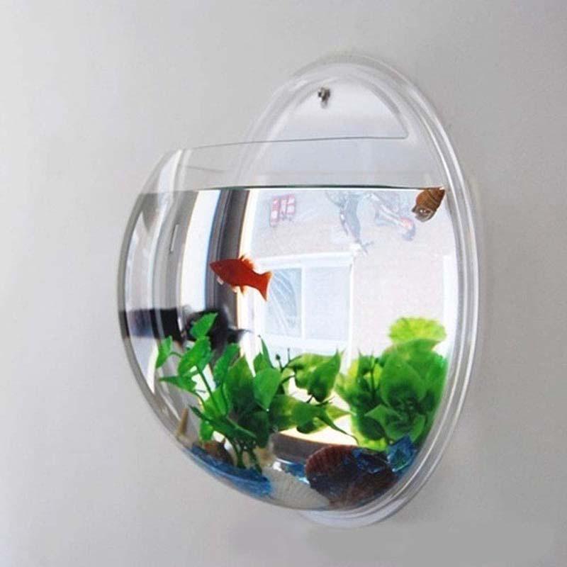 Top 10 Best Small Fish Aquariums in Malaysia 2025 5 Aquarzoo-Aquarium-Hanging-Wall-Mounted