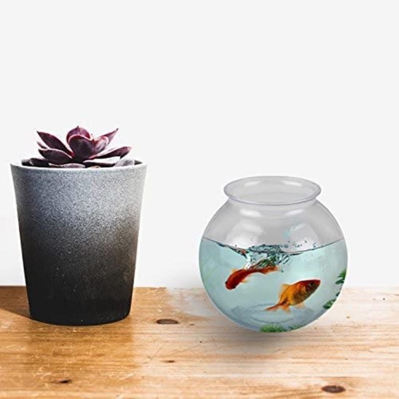 Picture Idea: Top 10 Best Small Fish Aquariums In Malaysia 2026