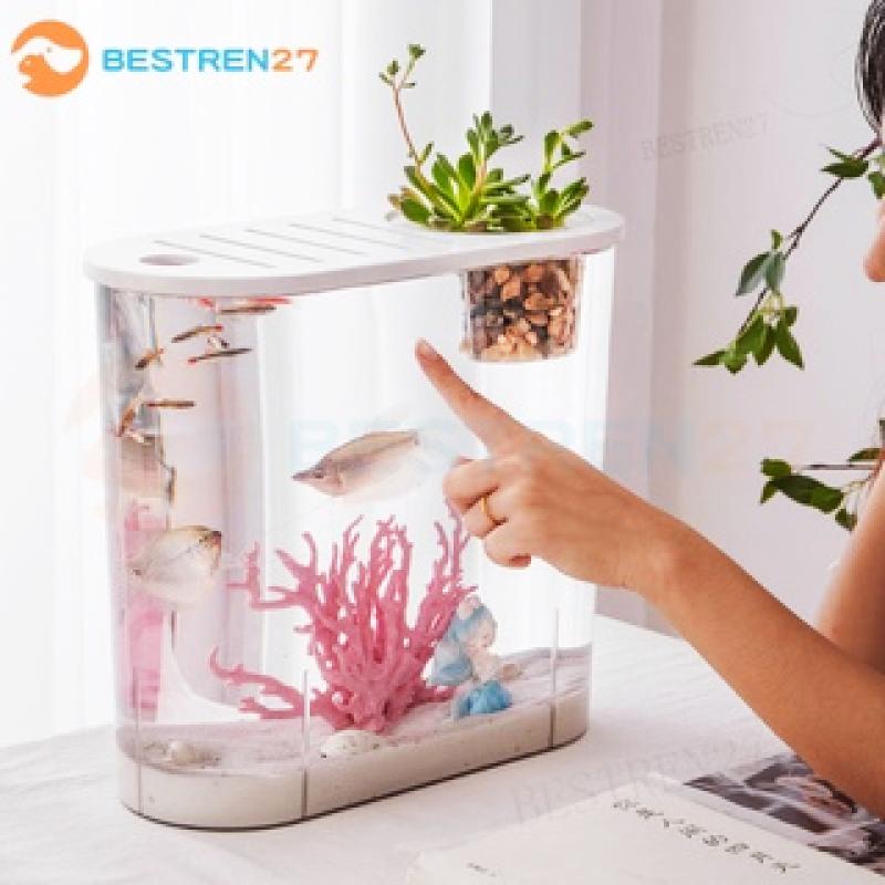 Top 10 Best Small Fish Aquariums in Malaysia 2025 11 Bestren-Mini-Fish-Aquarium