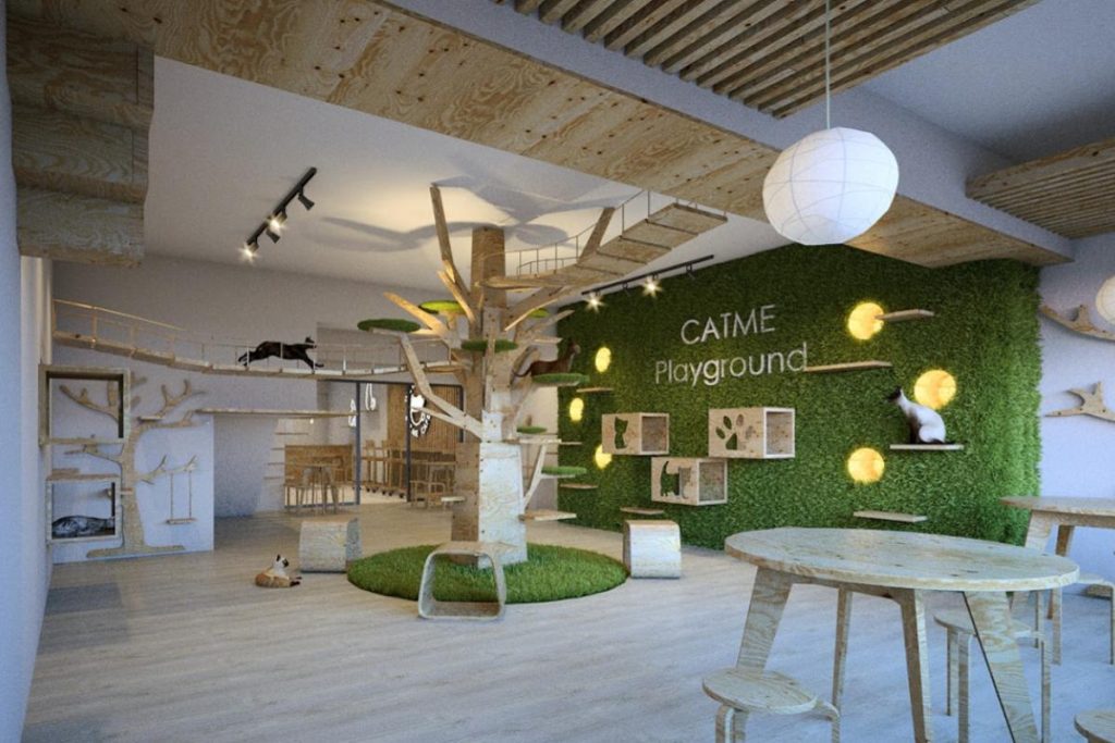 7 Kedai Haiwan Peliharaan Terbaik di Setia Alam 2025 15 Cat-Me-Pet-Centre-Pet-Hotel-Playground-